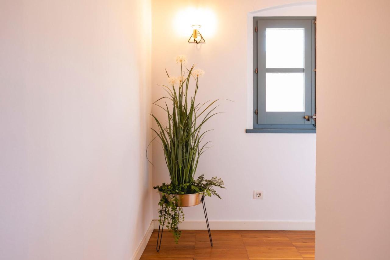 Bravissimo Raims Penthouse Apartment Girona Bagian luar foto
